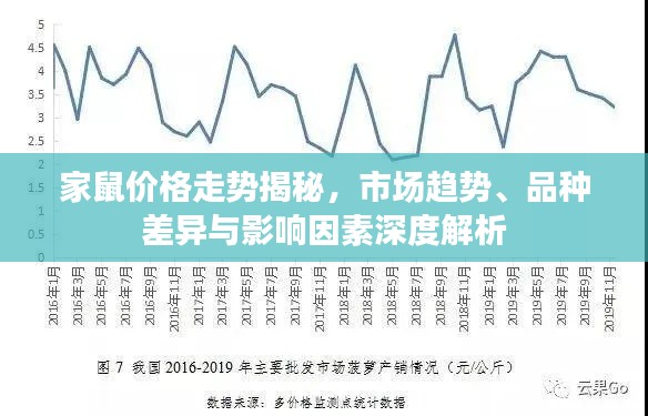 家鼠价格走势揭秘，市场趋势、品种差异与影响因素深度解析