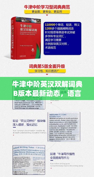 牛津中阶英汉双解词典B版本最新动态，语言学习必备工具全新解读