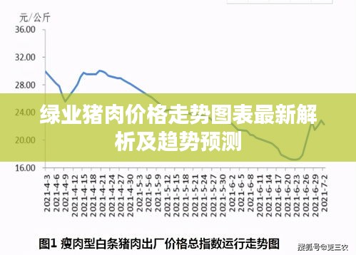 绿业猪肉价格走势图表最新解析及趋势预测