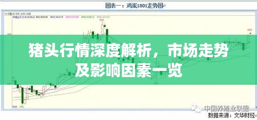 猪头行情深度解析，市场走势及影响因素一览