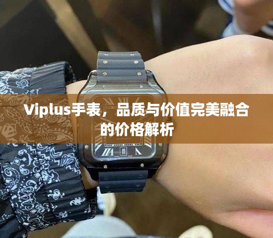 Viplus手表，品质与价值完美融合的价格解析