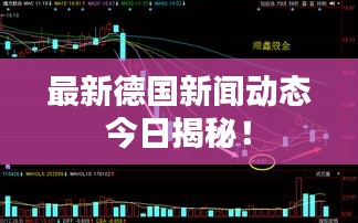 最新德国新闻动态今日揭秘！