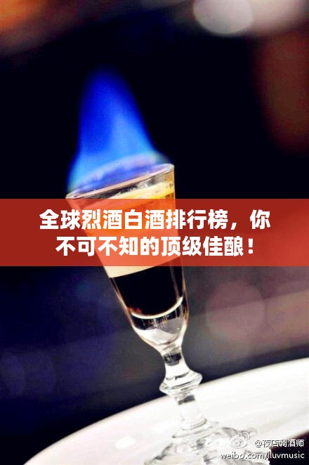 全球烈酒白酒排行榜，你不可不知的顶级佳酿！