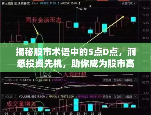 揭秘股市术语中的S点D点，洞悉投资先机，助你成为股市高手