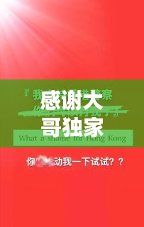 感谢大哥独家赞助的话，感谢大哥支持的文案 