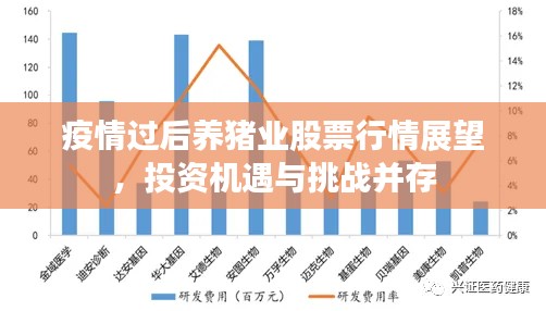 疫情过后养猪业股票行情展望，投资机遇与挑战并存