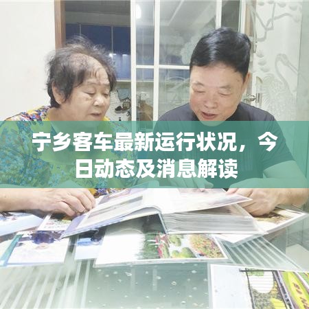 宁乡客车最新运行状况，今日动态及消息解读