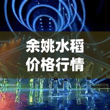 余姚水稻价格行情最新动态分析