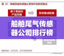 船舶尾气传感器公司排行榜及行业影响力解析