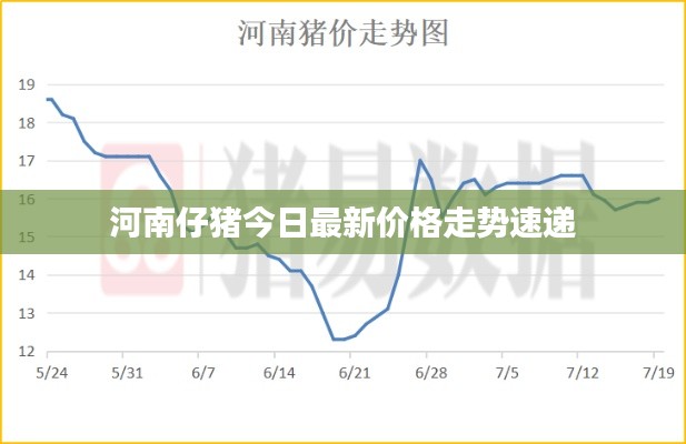 河南仔猪今日最新价格走势速递