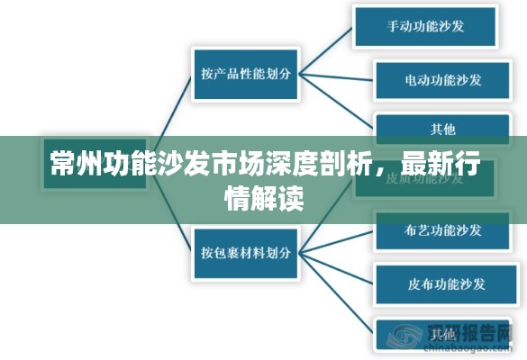 常州功能沙发市场深度剖析，最新行情解读