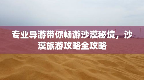 专业导游带你畅游沙漠秘境，沙漠旅游攻略全攻略