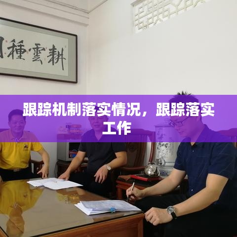 跟踪机制落实情况，跟踪落实工作 