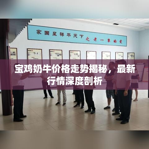 宝鸡奶牛价格走势揭秘，最新行情深度剖析