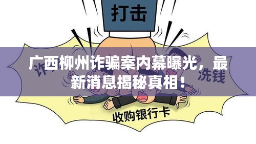 广西柳州诈骗案内幕曝光，最新消息揭秘真相！