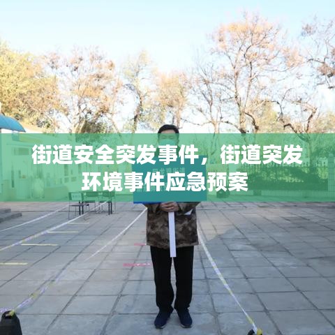 街道安全突发事件，街道突发环境事件应急预案 