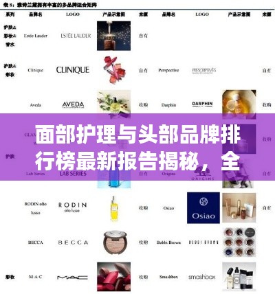 面部护理与头部品牌排行榜最新报告揭秘，全方位护肤选择指南