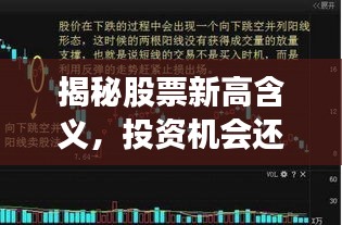 揭秘股票新高含义，投资机会还是市场警示？