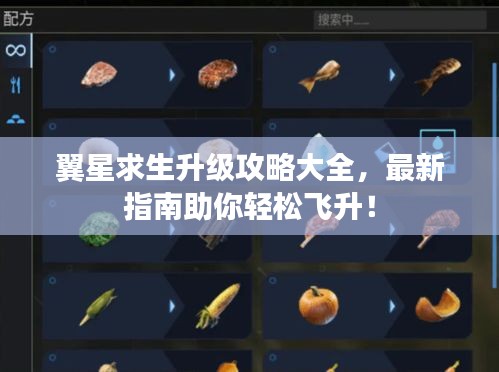 翼星求生升级攻略大全，最新指南助你轻松飞升！