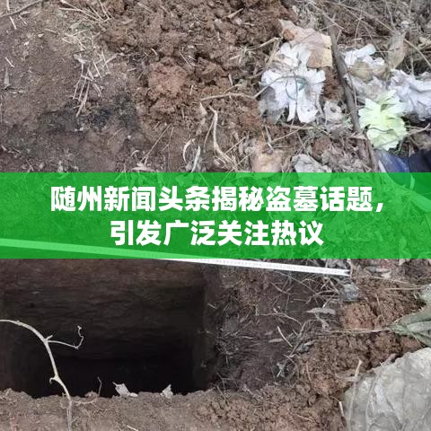 随州新闻头条揭秘盗墓话题，引发广泛关注热议