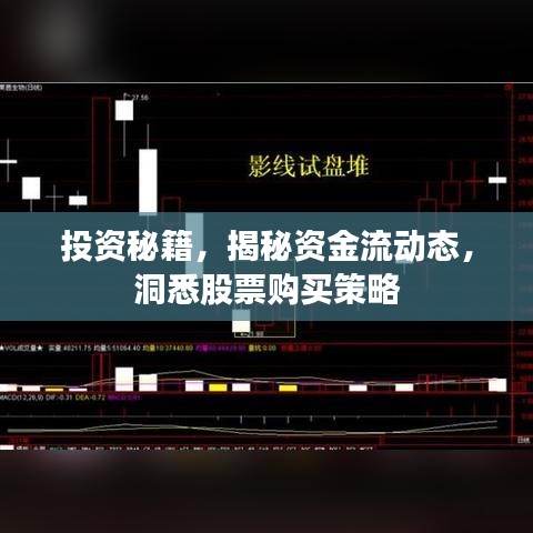 投资秘籍，揭秘资金流动态，洞悉股票购买策略