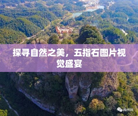 探寻自然之美，五指石图片视觉盛宴