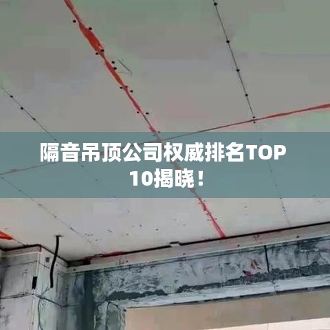 隔音吊顶公司权威排名TOP 10揭晓！