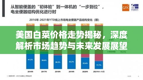 美国白菜价格走势揭秘，深度解析市场趋势与未来发展展望