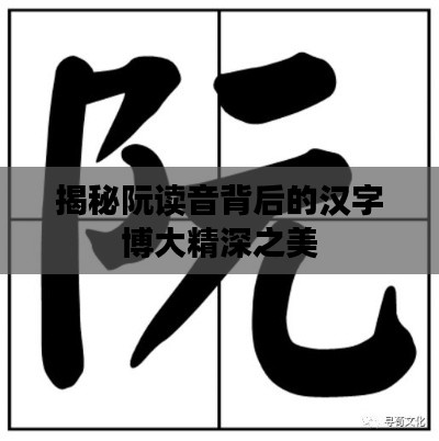 揭秘阮读音背后的汉字博大精深之美