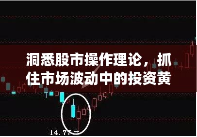 洞悉股市操作理论，抓住市场波动中的投资黄金机遇