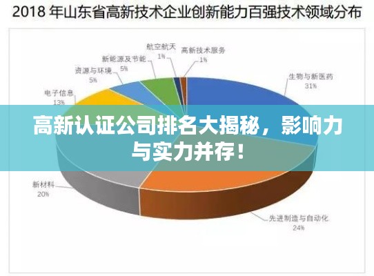 高新认证公司排名大揭秘，影响力与实力并存！