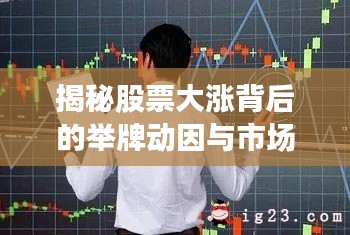 揭秘股票大涨背后的举牌动因与市场反应，揭秘真相！