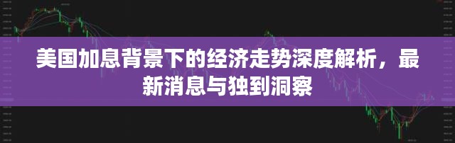 美国加息背景下的经济走势深度解析，最新消息与独到洞察