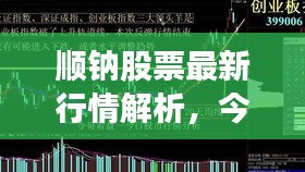 顺钠股票最新行情解析，今日走势一览