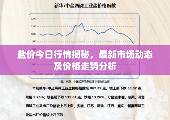 盐价今日行情揭秘，最新市场动态及价格走势分析