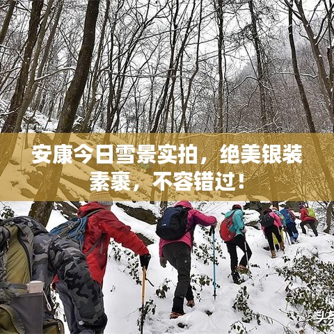 安康今日雪景实拍，绝美银装素裹，不容错过！