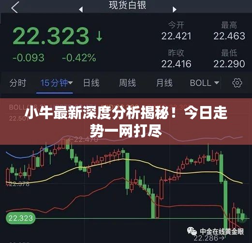 小牛最新深度分析揭秘！今日走势一网打尽