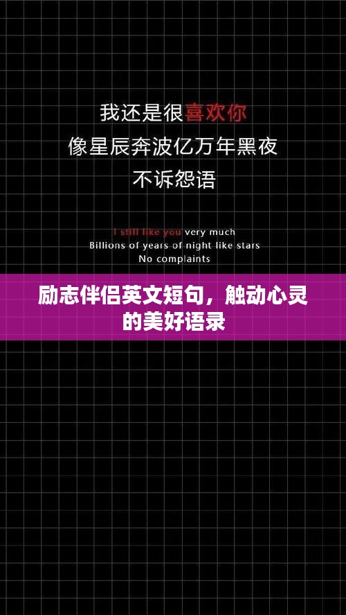 励志伴侣英文短句，触动心灵的美好语录