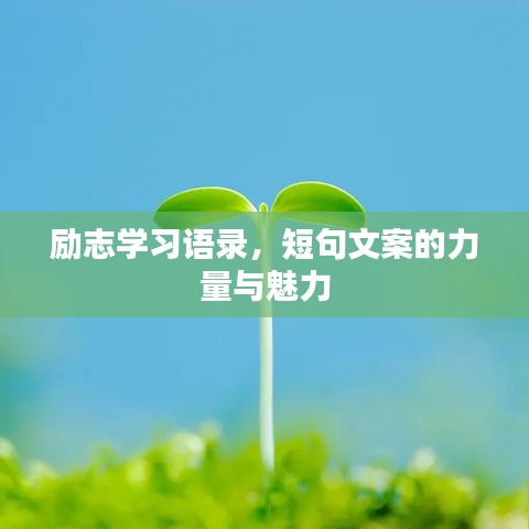 励志学习语录，短句文案的力量与魅力