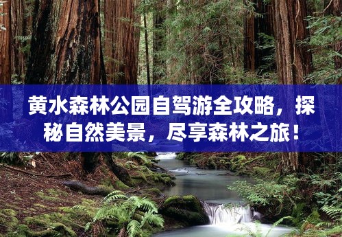 黄水森林公园自驾游全攻略，探秘自然美景，尽享森林之旅！