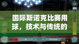 国际斯诺克比赛用球，技术与传统的完美融合