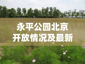 永平公园北京开放情况及最新动态速递