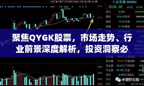 聚焦QYGK股票，市场走势、行业前景深度解析，投资洞察必备指南