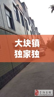 大块镇独家独院出租，大块镇独家独院出租信息 