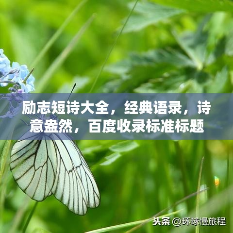 励志短诗大全，经典语录，诗意盎然，百度收录标准标题