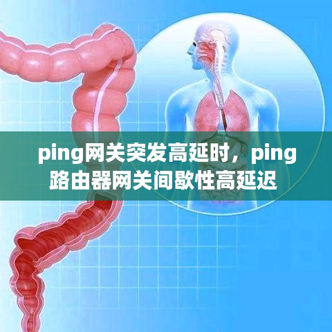 ping网关突发高延时，ping路由器网关间歇性高延迟 