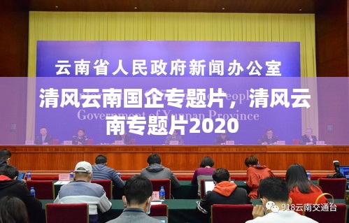 清风云南国企专题片，清风云南专题片2020 