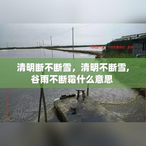 清明断不断雪，清明不断雪,谷雨不断霜什么意思 