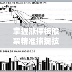 掌握涨停板股票精准捕捉技巧！