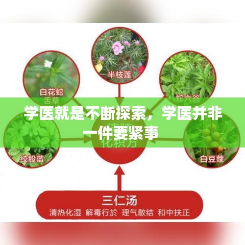 学医就是不断探索，学医并非一件要紧事 